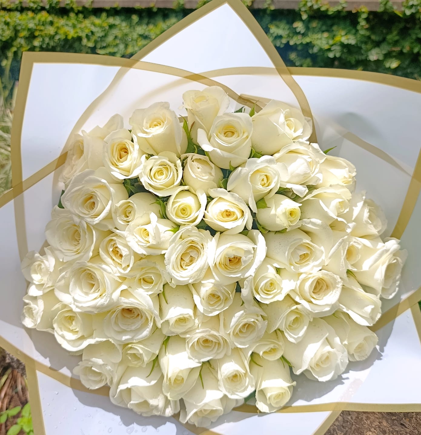 Pure Elegance White Rose Bouquet