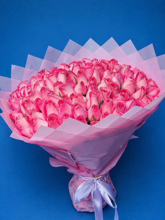 80-Stem Blush Pink Roses Luxury Bouquet in Pink Wrap with White Ribbon