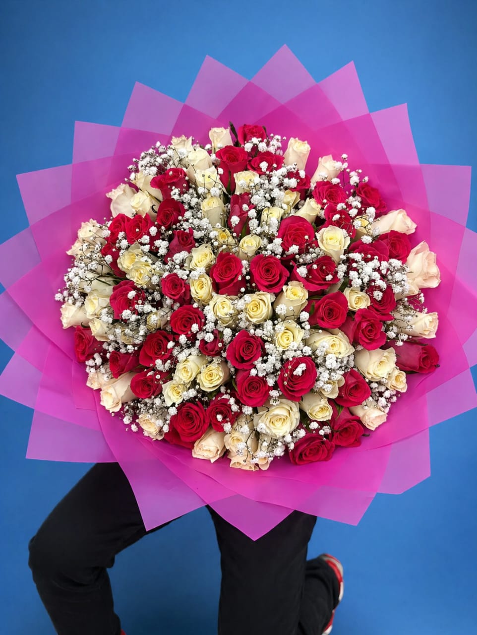 80-Stem Red & White Roses Grand Bouquet with Baby's Breath in Pink Wrap